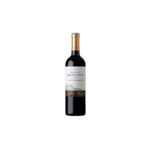 Castillo Molina Sauvignon Blanc