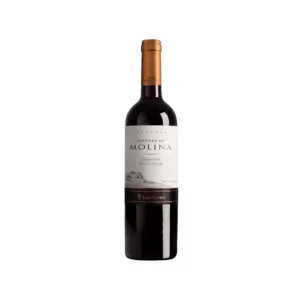 Castillo Molina Reserva (Chile)