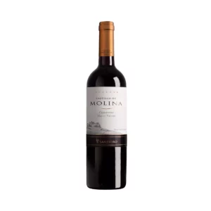 Castillo De Molina Reserva (Chile)