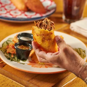 Empanada de carne desmechada