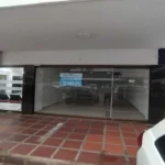 121513590-1-1734622801