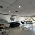 121513595-5-1731070679