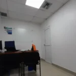 121513595-8-1731070677