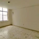 121513615-3-1731862039