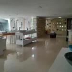 121513625-8-1729194037