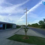 121513630-10-1734706472