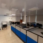 121513659-8-1733241812