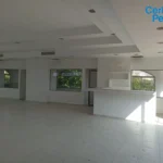 121513661-4-1733240934