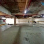 121513663-9-1734707466