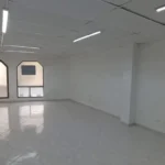 121513669-4-1730991605