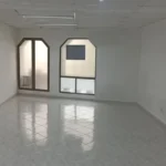 121513669-5-1730991605