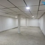 121513675-7-1734701627