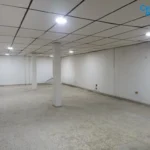 121513675-8-1734701627