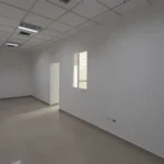 121513678-13-1732744626