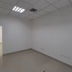 121513678-6-1732744624