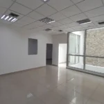 121513678-7-1732744626