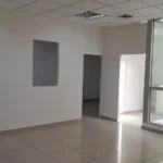 121513678-8-1732744630