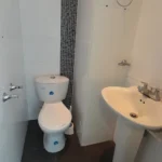 121513679-7-1732722829
