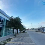 121513680-14-1734702508