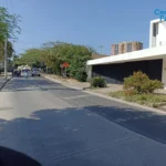 121513882-23-1740238835