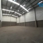 121513890-8-1741614282
