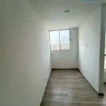 121513905-7-1742421734