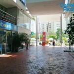 121513911-3-1743426209