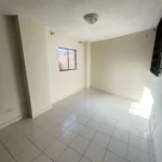 121513912-6-1743429085