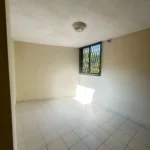 121513912-7-1743429088