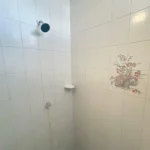 121513913-13-1743430411