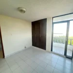 121513913-20-1743430420