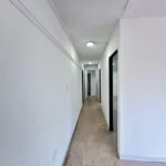 121513916-7-1743436799